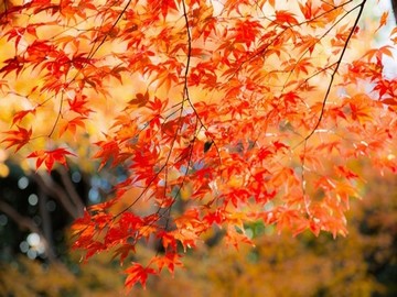 接电话时忍不住出声