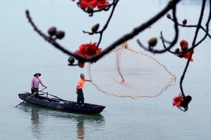 日漫排行榜前50名